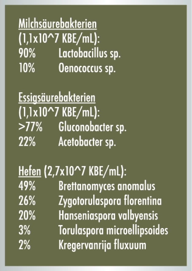 Milchsäurebakterien, Essigsäurebaterien, Hefen