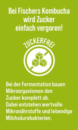 Wieviel Zucker trinkt man - Fischer Kombucha, zero Zucker