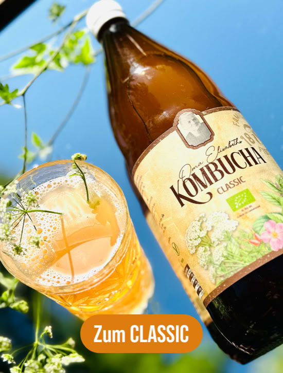 Eine Flasche Kombucha und ein Glas mit einem Getränk, umgeben von Pflanzen, vor einem blauen Hintergrund.