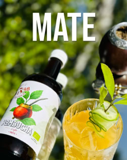 Flasche mit Mate-Getränk, Glas mit Eis und Gurkenscheiben, grüne Blätter, Hintergrund mit unscharfem Grün.