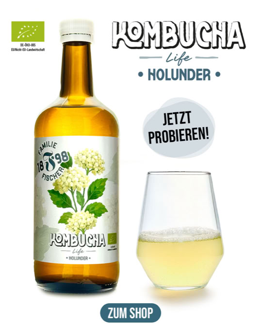 Eine Flasche Kombucha mit Holunderblütenetikett neben einem Glas mit hellgelber Flüssigkeit, Text "Jetzt probieren!" und "Zum Shop".