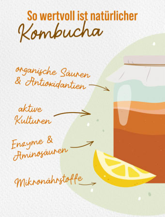 Kombucha 4