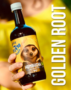 Eine Hand hält eine Flasche Kombucha mit einem Etikett, das ein Tier zeigt. Daneben steht der Text "GOLDEN ROOT".