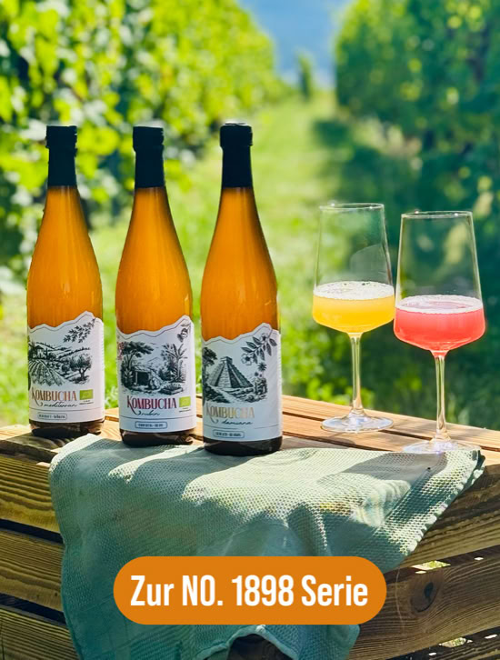 Drei Kombuchaflaschen und zwei gefüllte Gläser auf einem Holztisch im Freien, mit einem grünen Tuch und einem Hintergrund aus Weinreben.