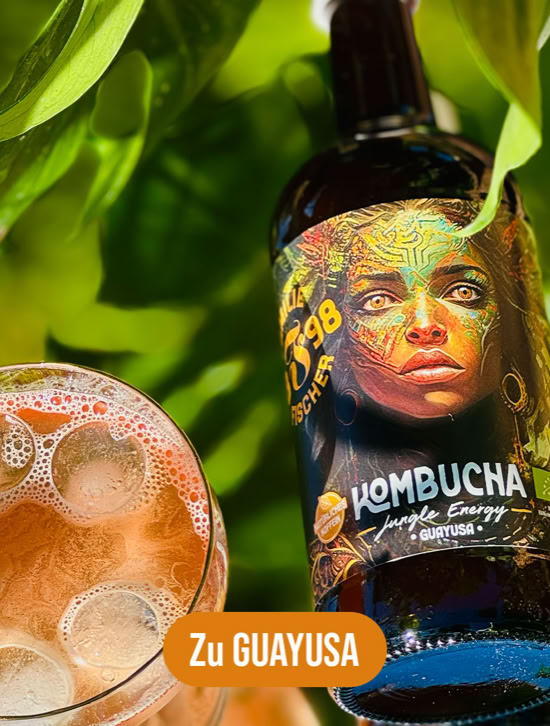 Flasche Kombucha mit buntem Etikett und Glas mit schäumendem Getränk, umgeben von grünen Blättern.