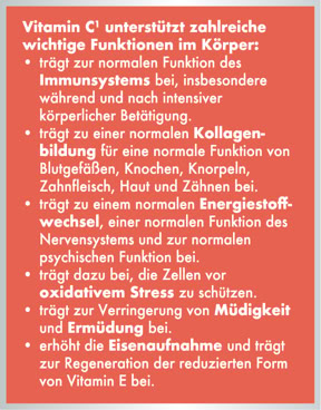 Beschreibung Omni-Ferment