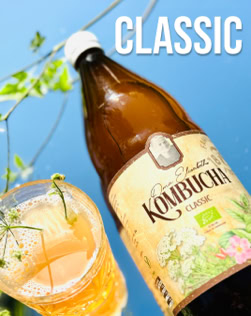 Braune Kombucha-Flasche und gefülltes Glas auf blauem Hintergrund mit grünem Zweig, Text "CLASSIC" oben rechts.