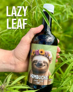 Hand hält eine Flasche mit einem Etikett, das ein Faultier mit Blumenkranz zeigt, umgeben von grünen Blättern. Text "LAZY LEAF" ist sichtbar.