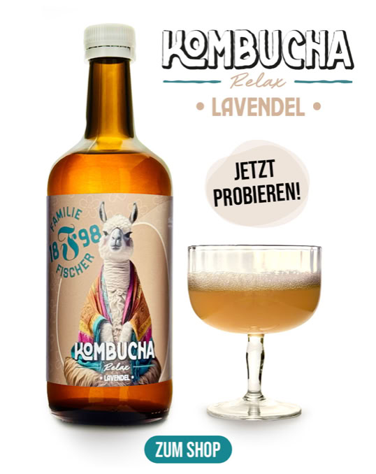 Braune Flasche mit Etikett, das eine Lama-Illustration zeigt, daneben ein gefülltes Glas; Text "Kombucha Lavendel" und "Jetzt probieren!" sind sichtbar.